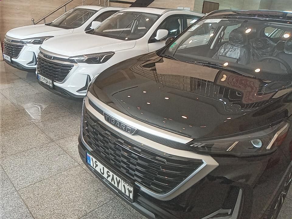 تیگارد X35 ساده - 1404