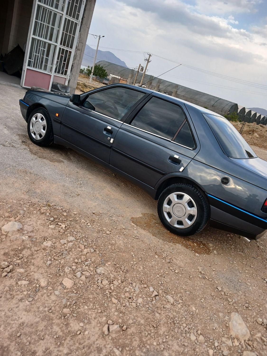 پژو 405 GLX - دوگانه سوز - 1383