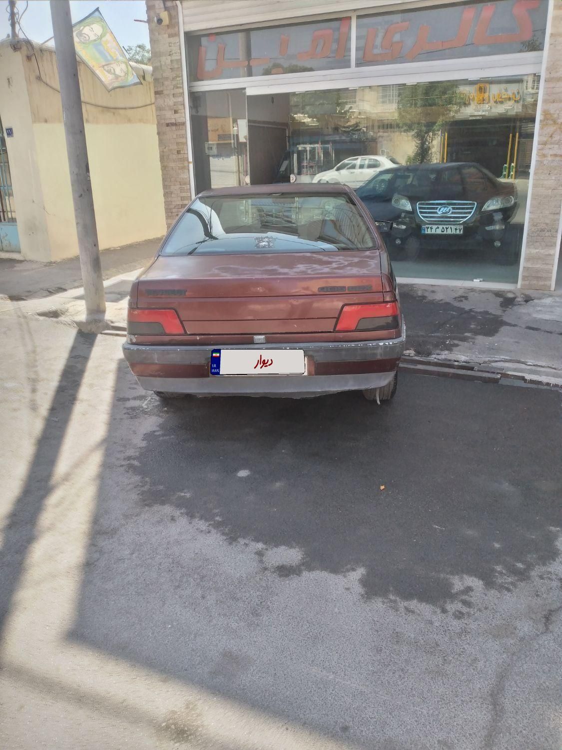 پژو آردی دوگانه سوز CNG - 1378