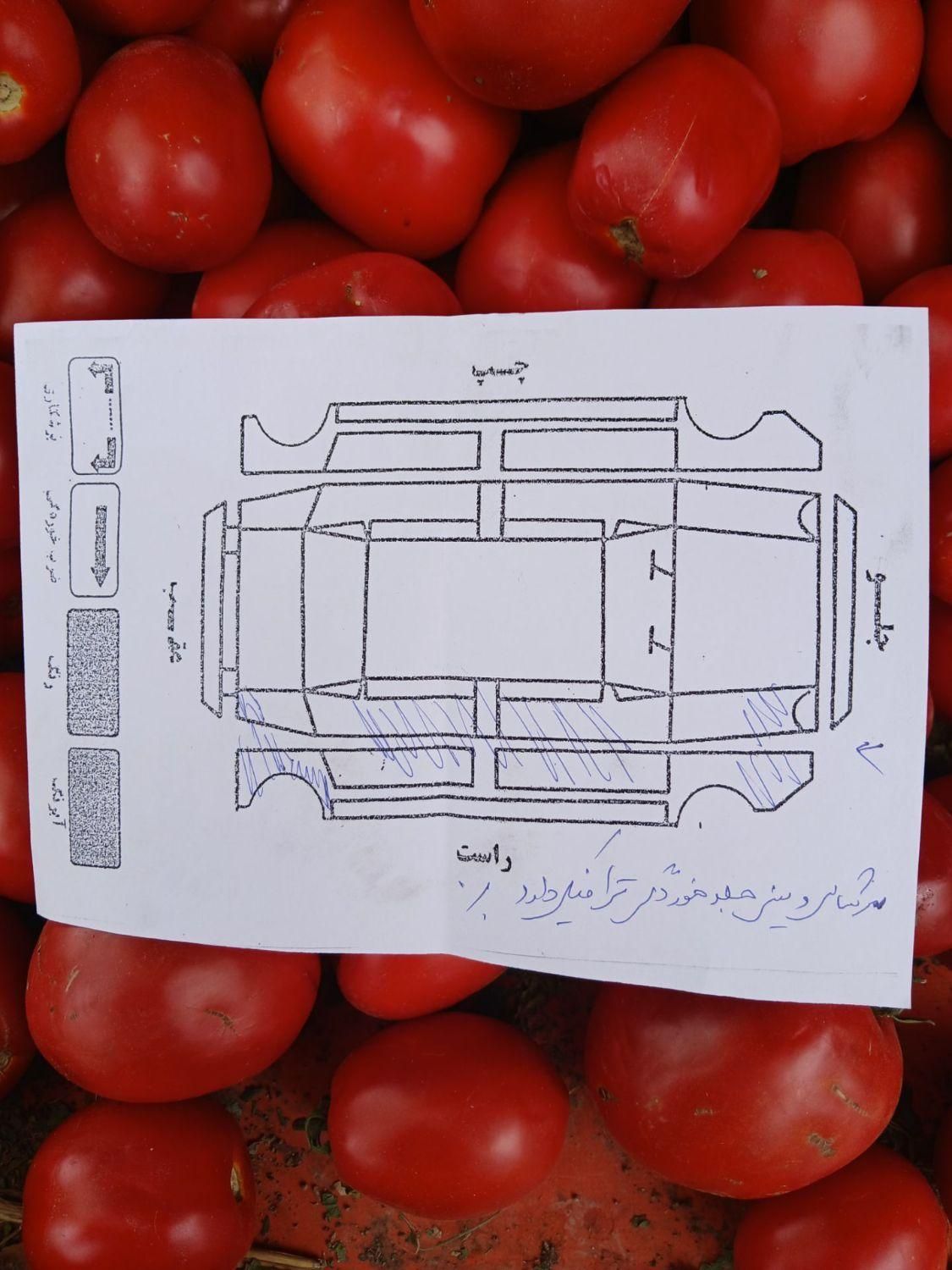پژو ۲۰۶ صندوق دار v8 - 1390