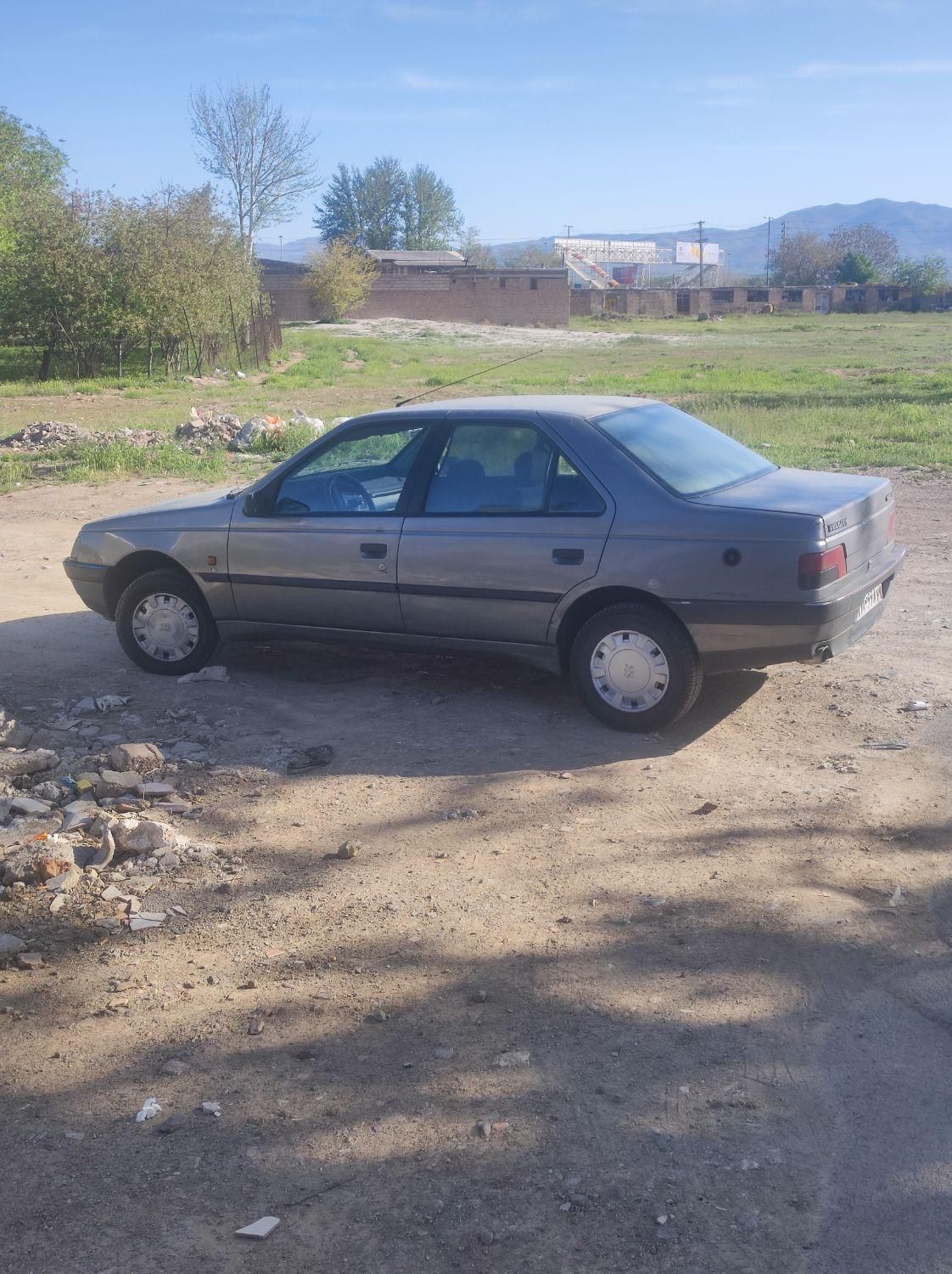 پژو 405 GLX - دوگانه سوز - 1387