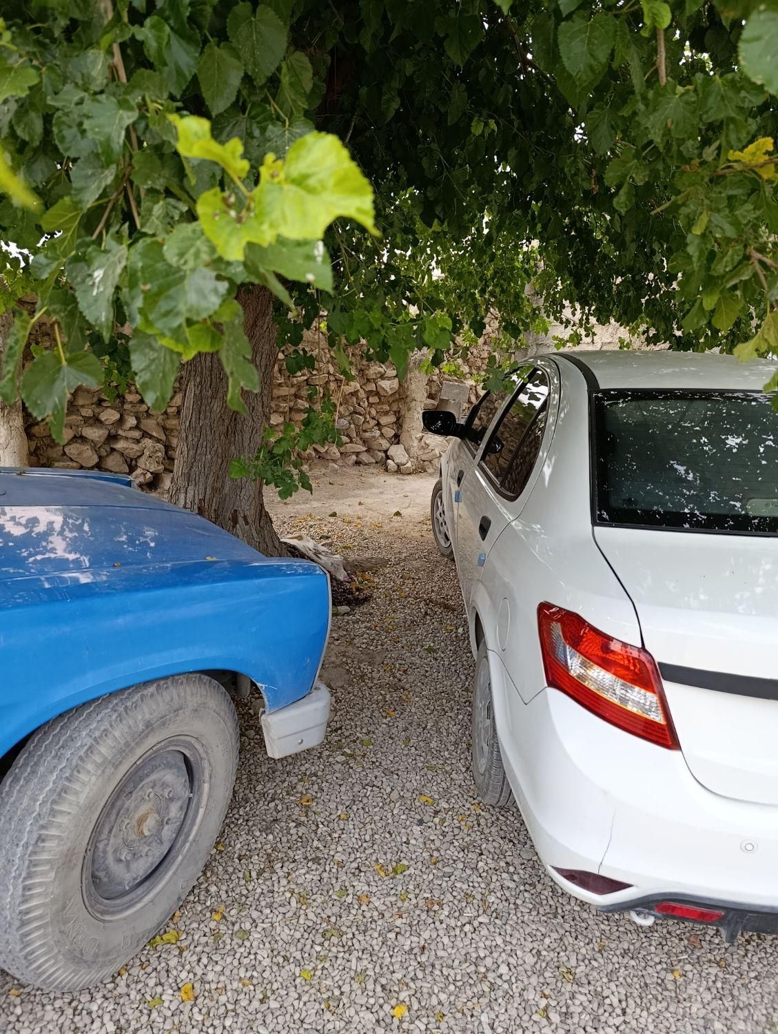 ساینا EX معمولی - 1400