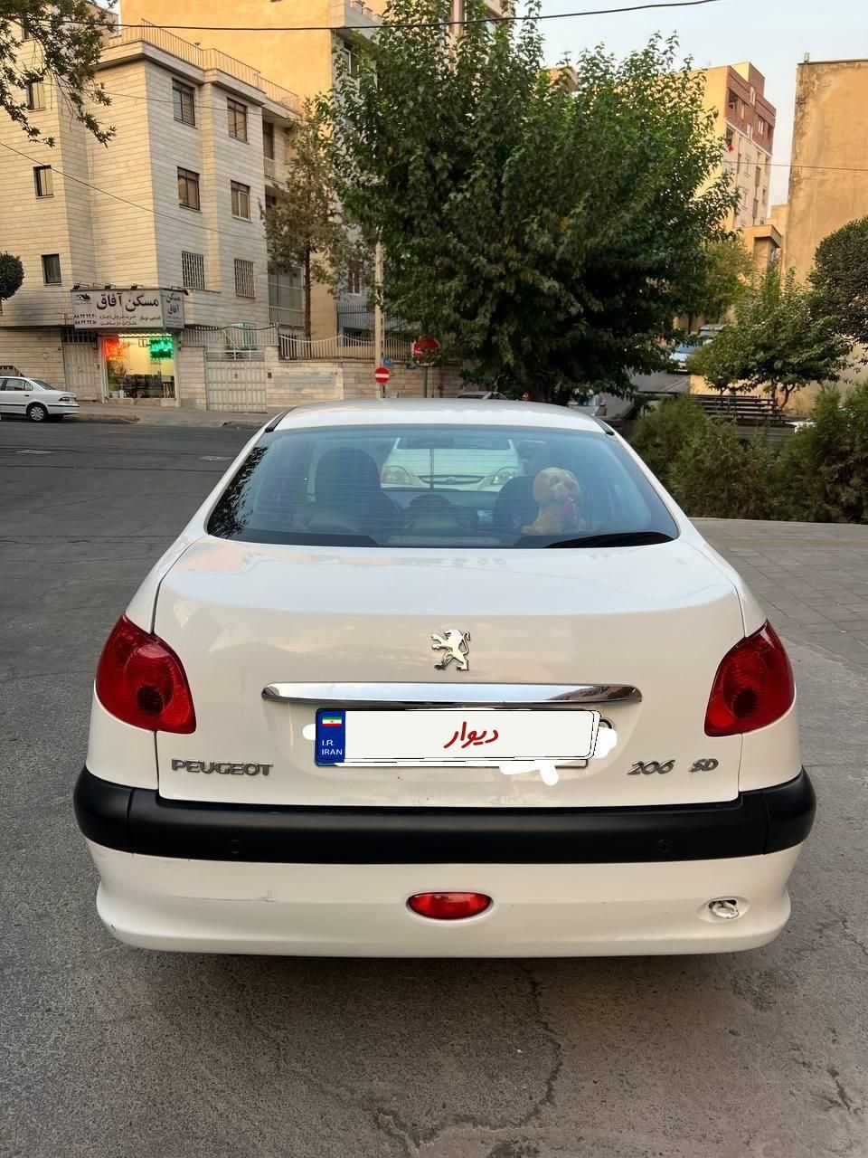 پژو 206 تیپ 5 - 1395