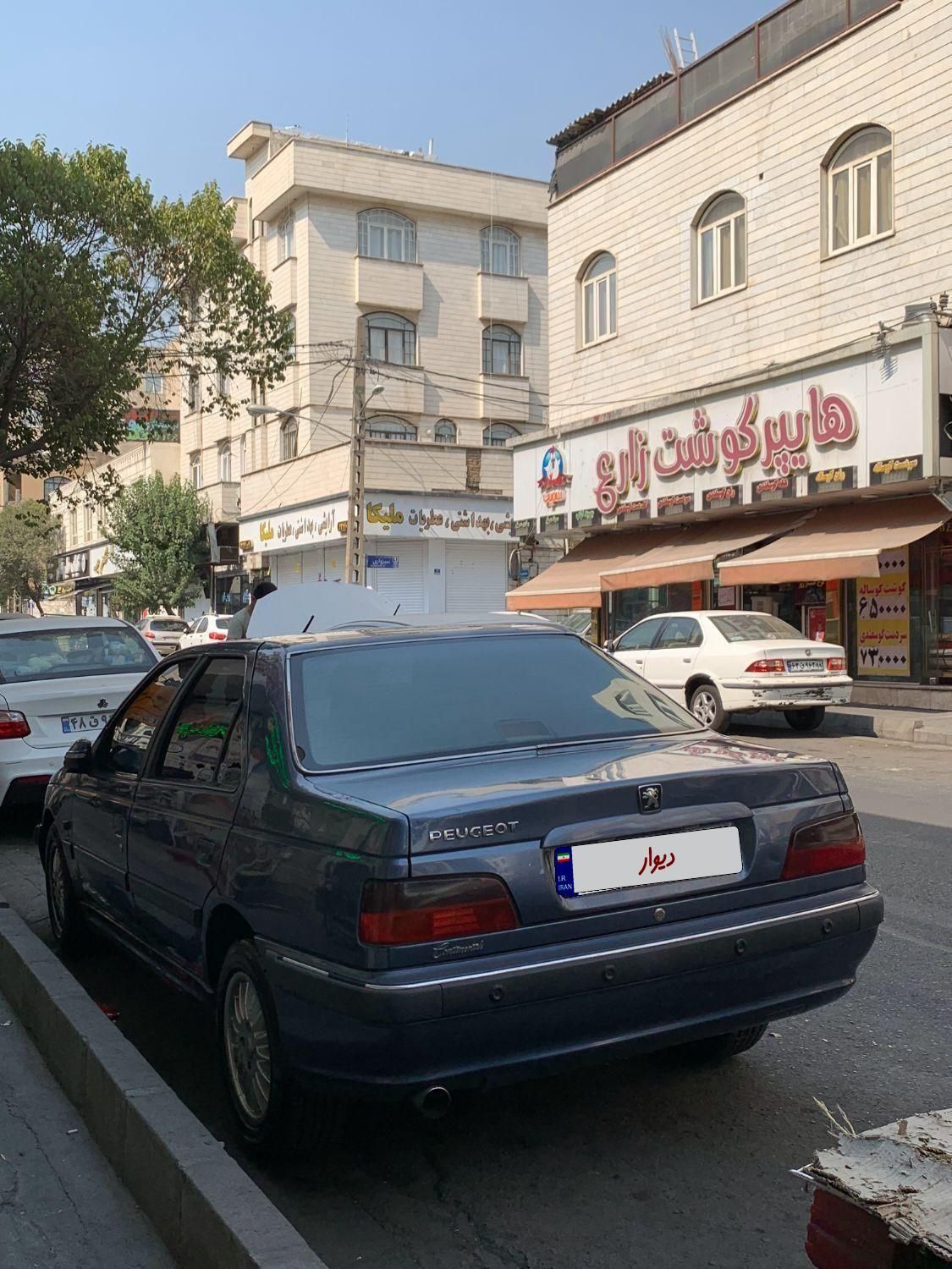 پژو پارس ELX-XU7P سفارشی - 1394