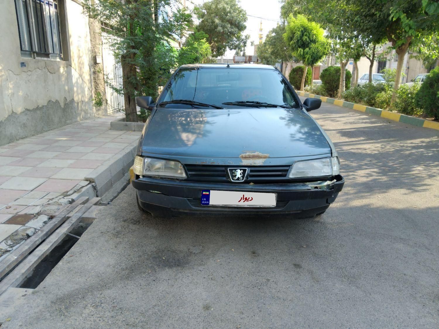 پژو روآ دوگانه سوز - 1386