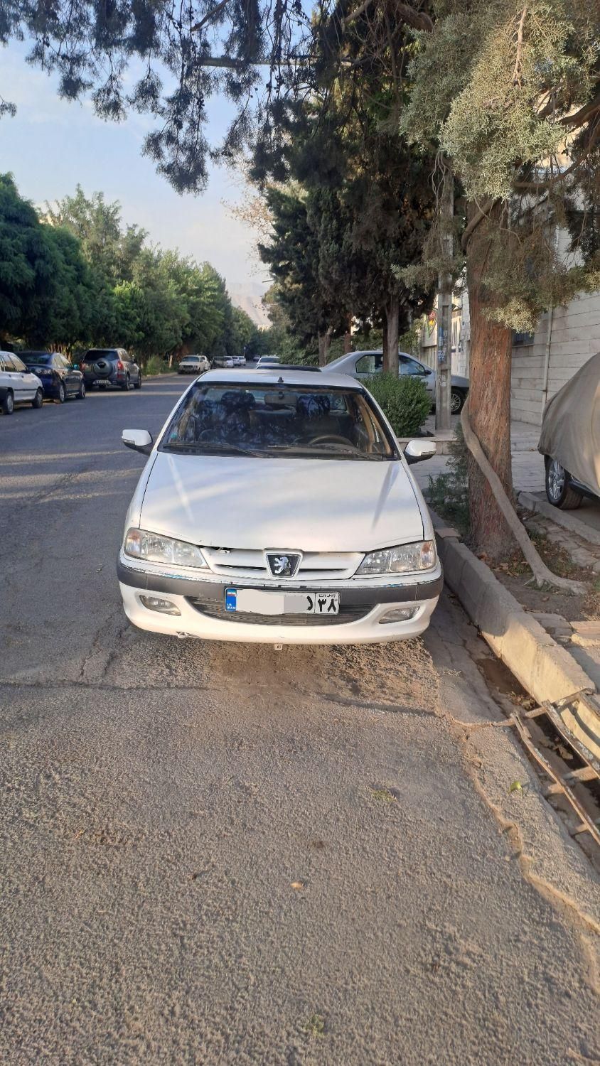 پژو پارس ELX-XU7P سفارشی - 1393