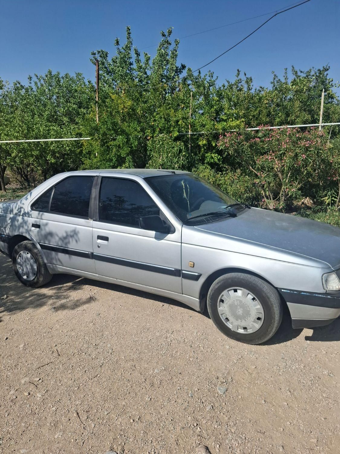 پژو 405 GLX - دوگانه سوز - 1395