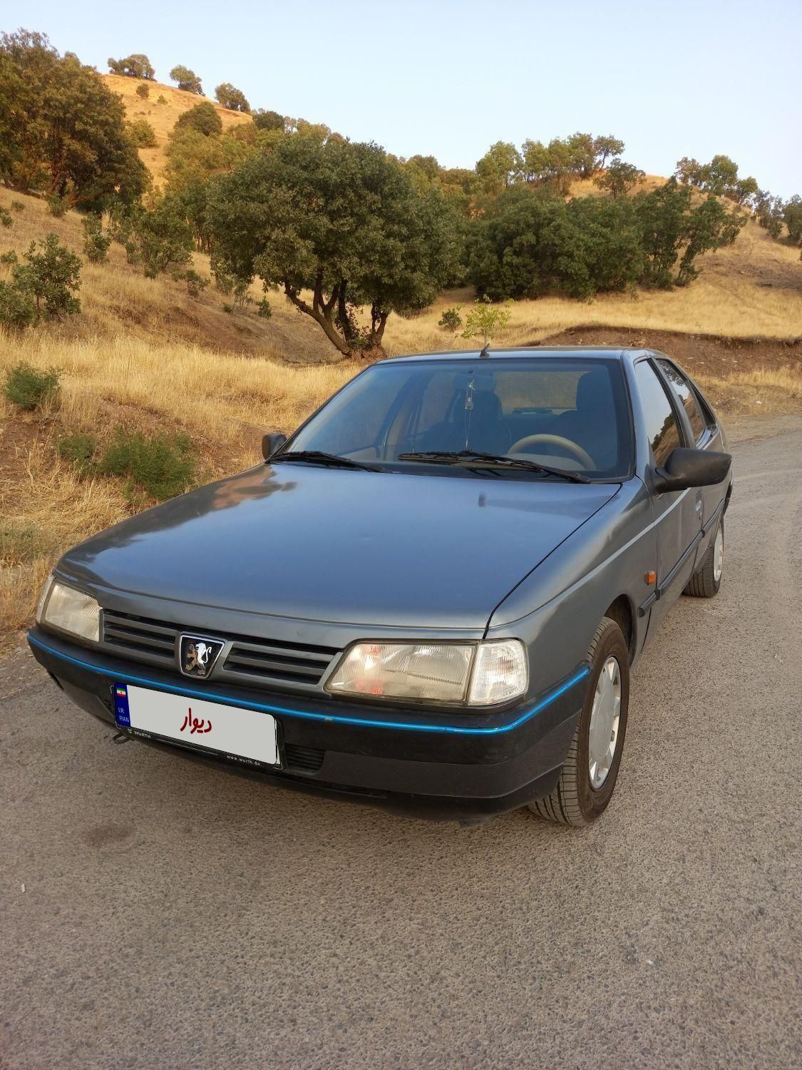 پژو 405 GLX - 1390