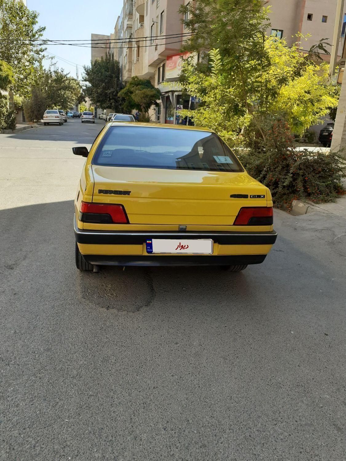 پژو 405 GLX - دوگانه سوز - 1391