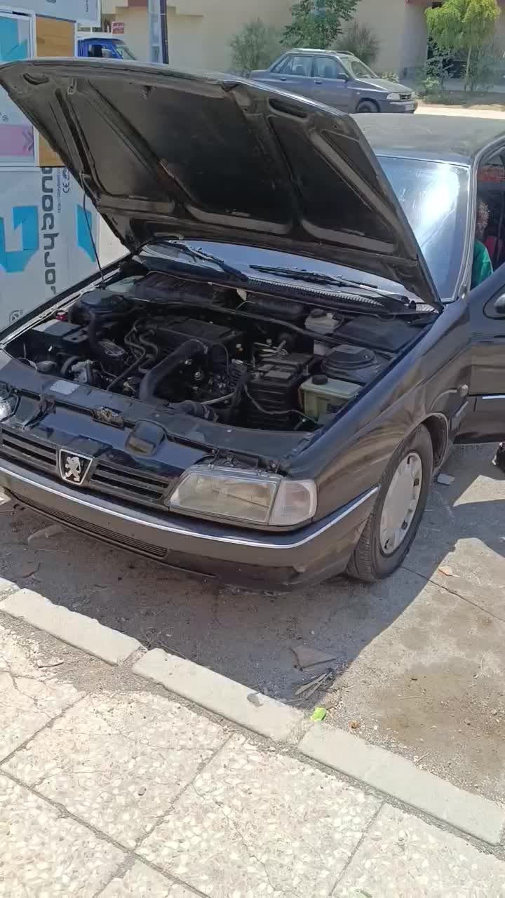 خودرو پژو، 405 آگهی ann_19734938