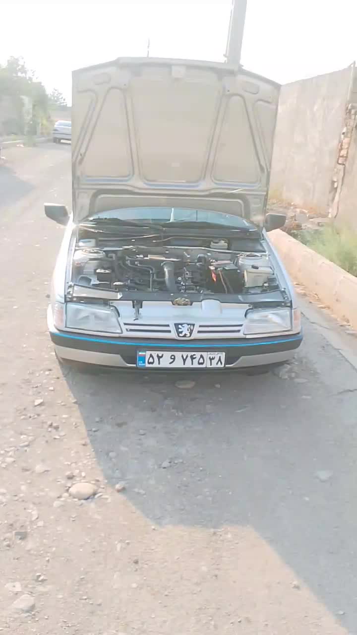 خودرو پژو، 405 آگهی ann_19738640
