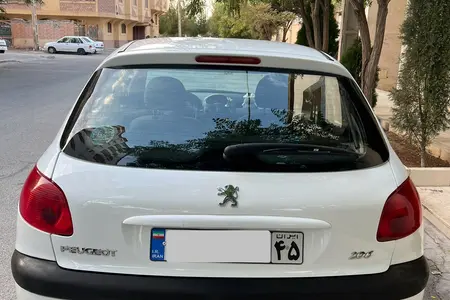 پژو 206 تیپ 2 - 1398