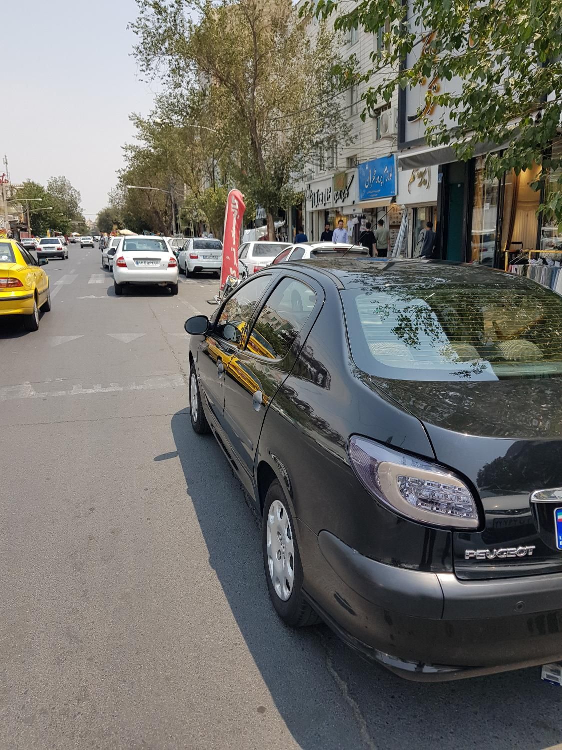 پژو 206 تیپ 5 - 1395