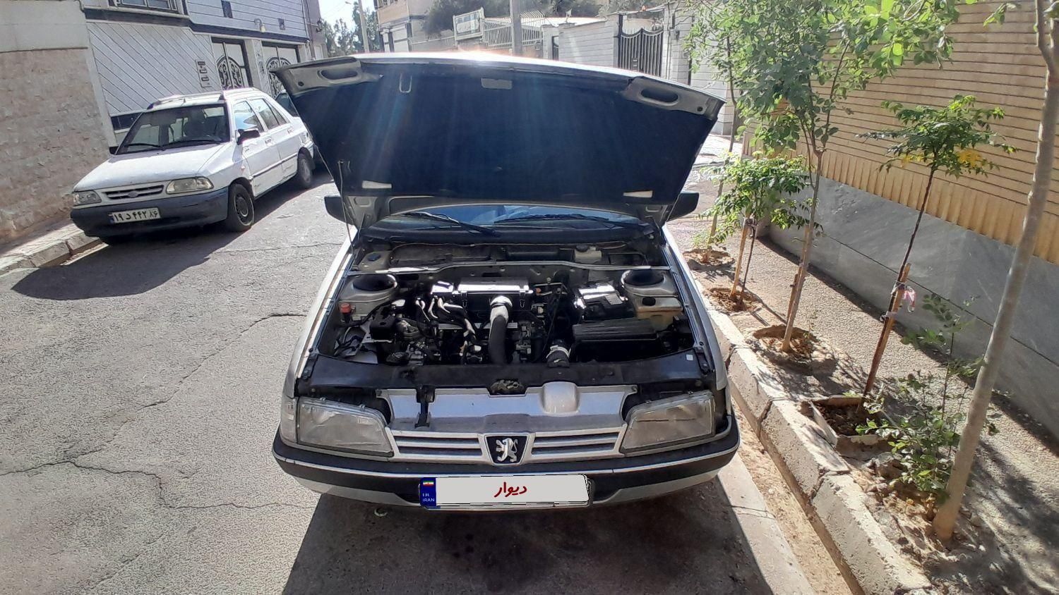 پژو 405 GLX - دوگانه سوز - 1390