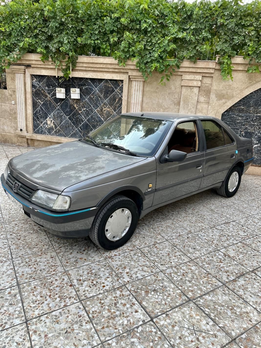 پژو 405 GLX - دوگانه سوز - 1391