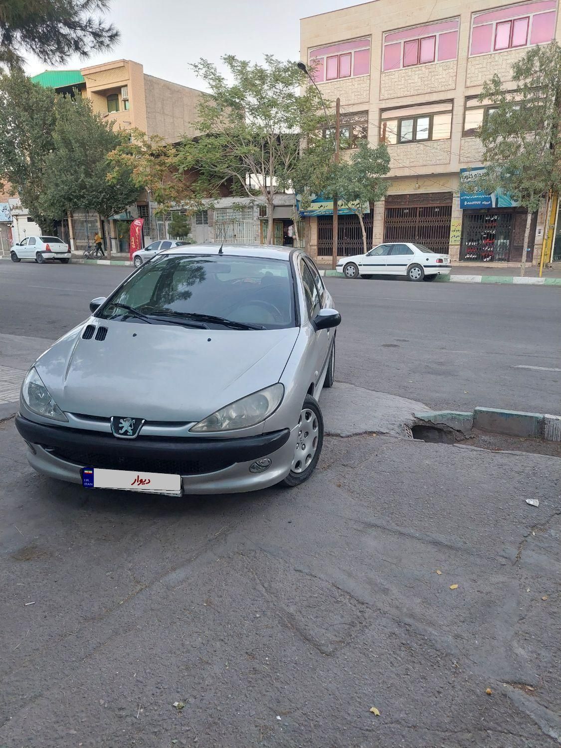 پژو 206 تیپ 2 - 1389