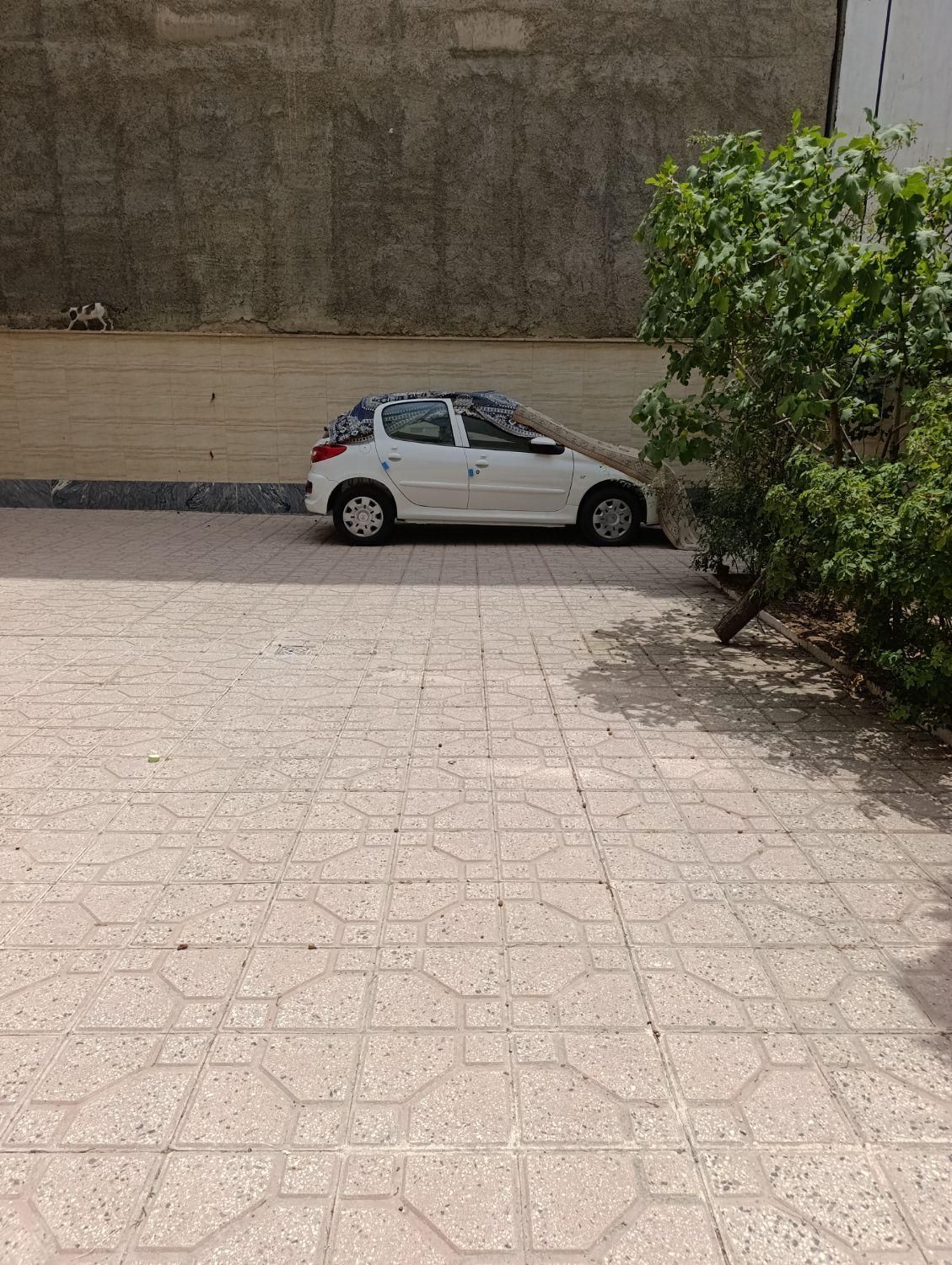 خودرو پژو، 207 آگهی ann_19748373