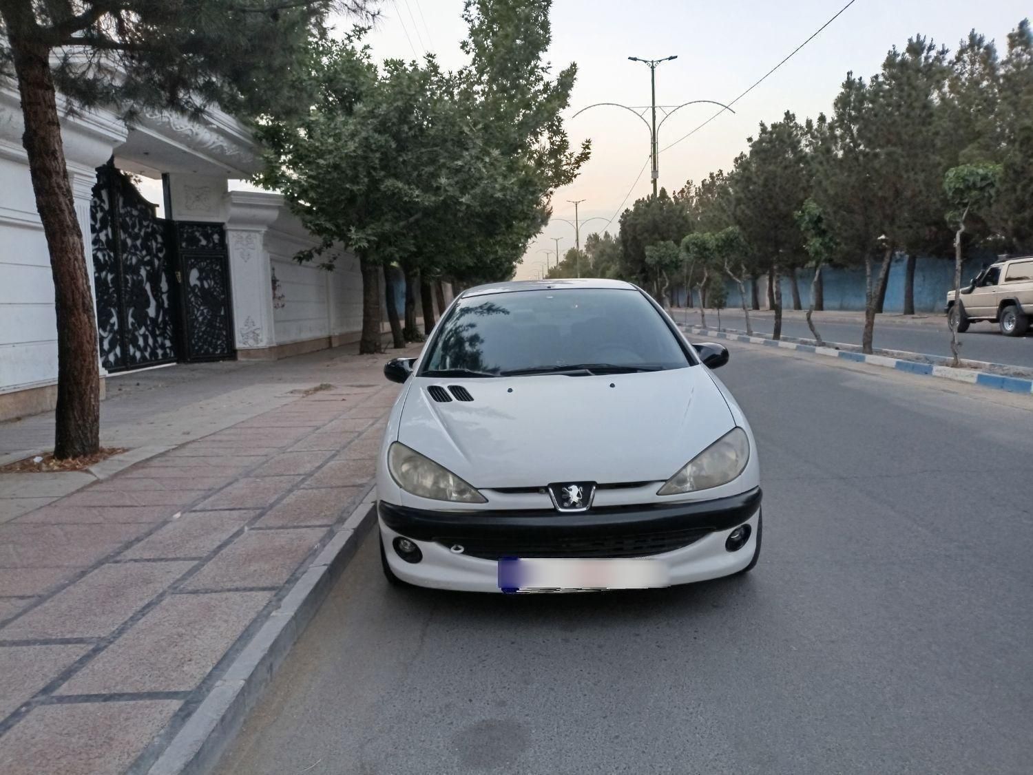 پژو 206 تیپ 2 - 1396