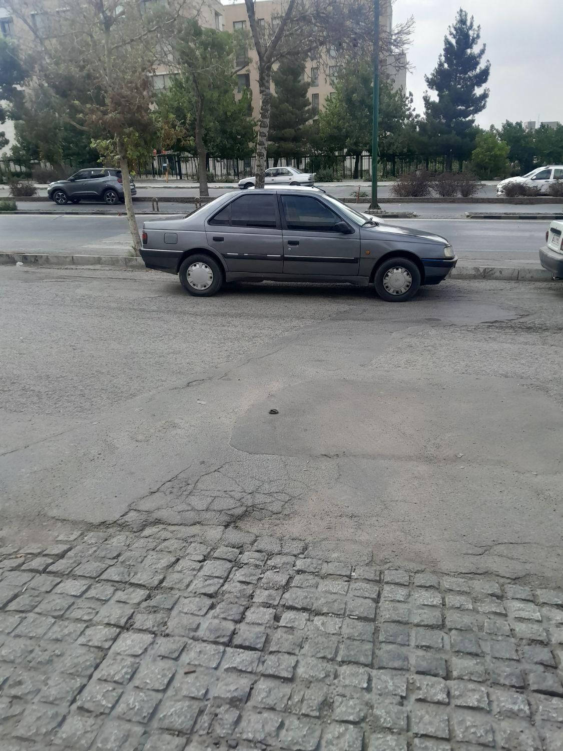پژو 405 GLX - دوگانه سوز - 1390
