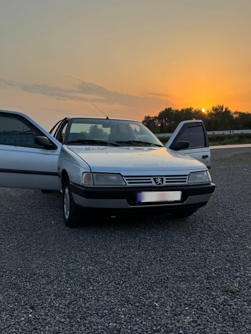 پژو 405 GLX - 1390