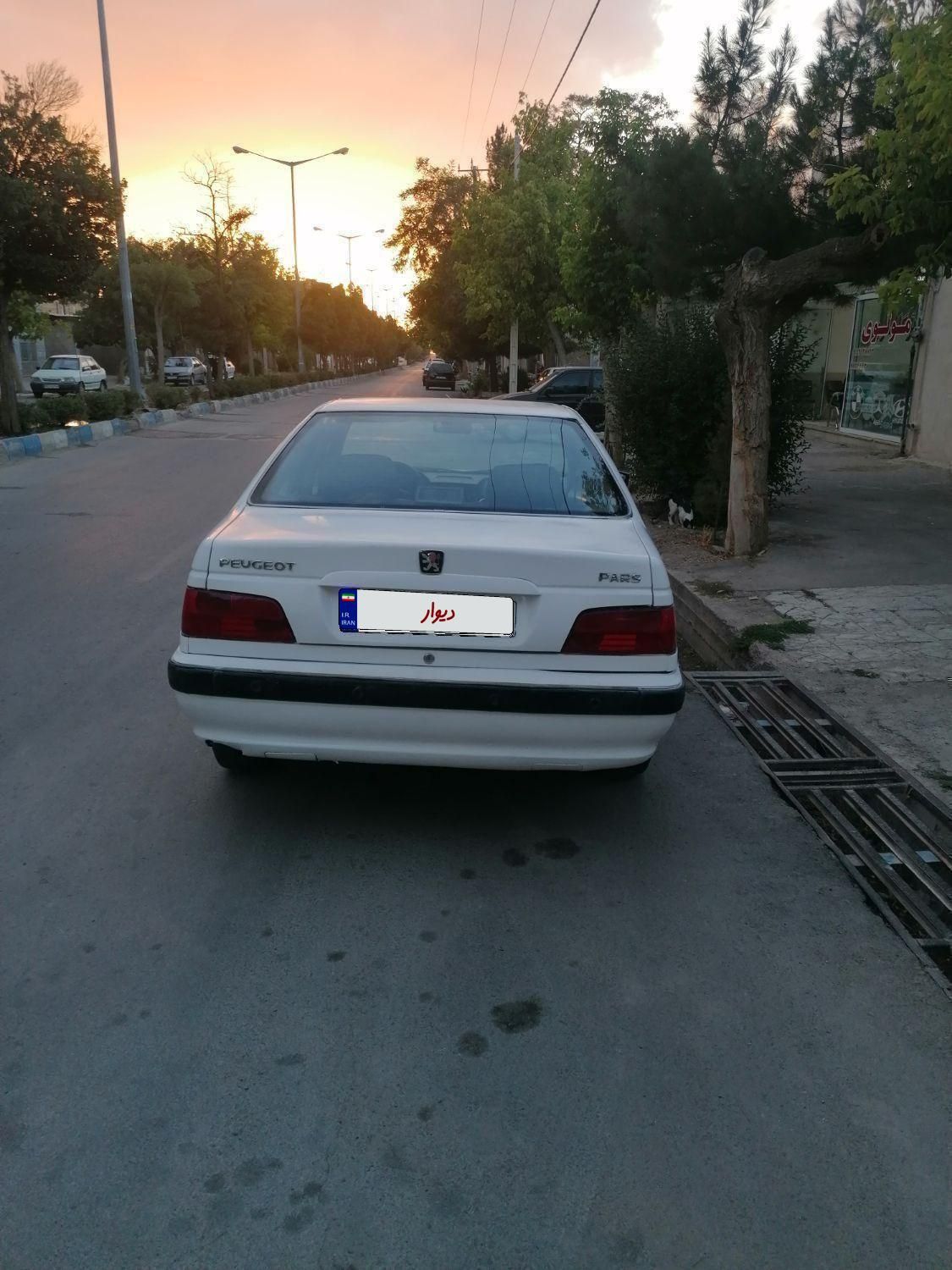 پژو پارس ELX-XU7P سفارشی - 1394