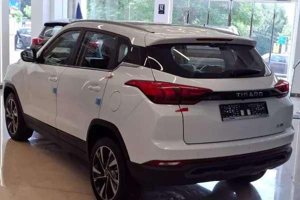 تیگارد X35 ساده - 1404