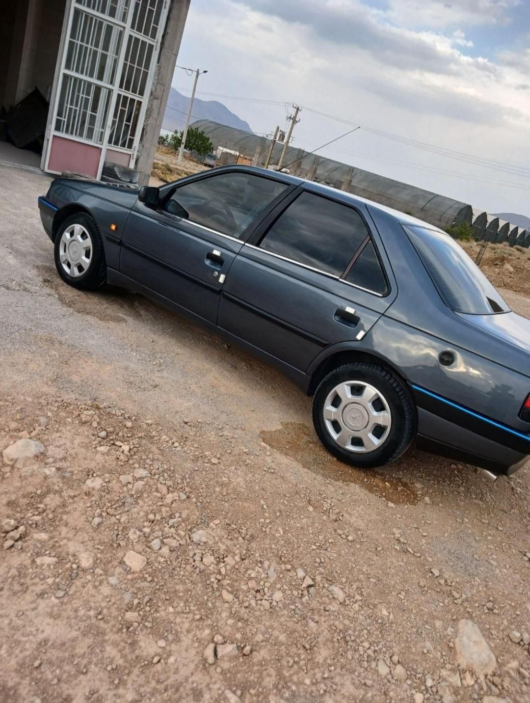 پژو 405 GLX - 1383
