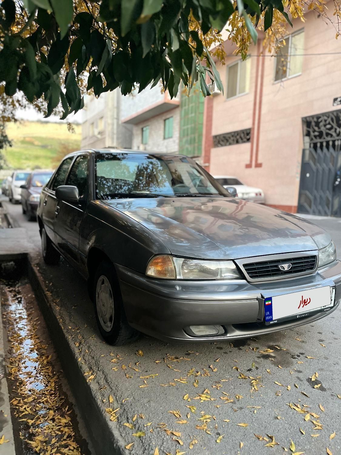 دوو سیلو سدان - 1381