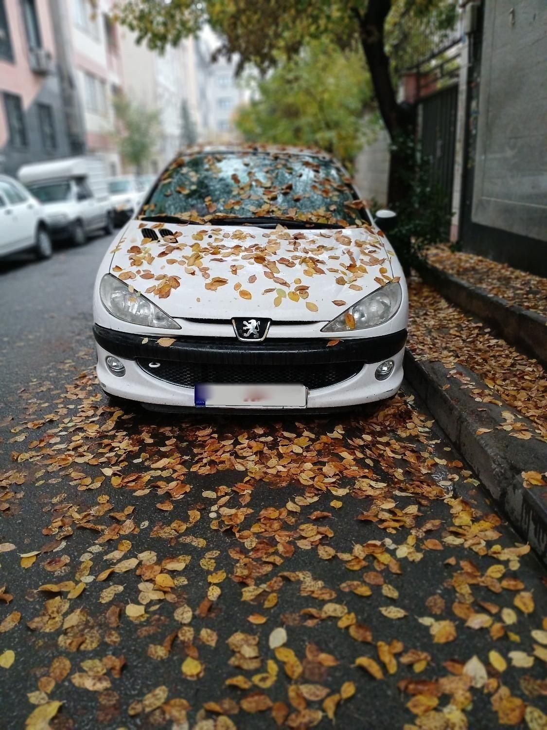 پژو ۲۰۶ صندوق دار v8 - 1386
