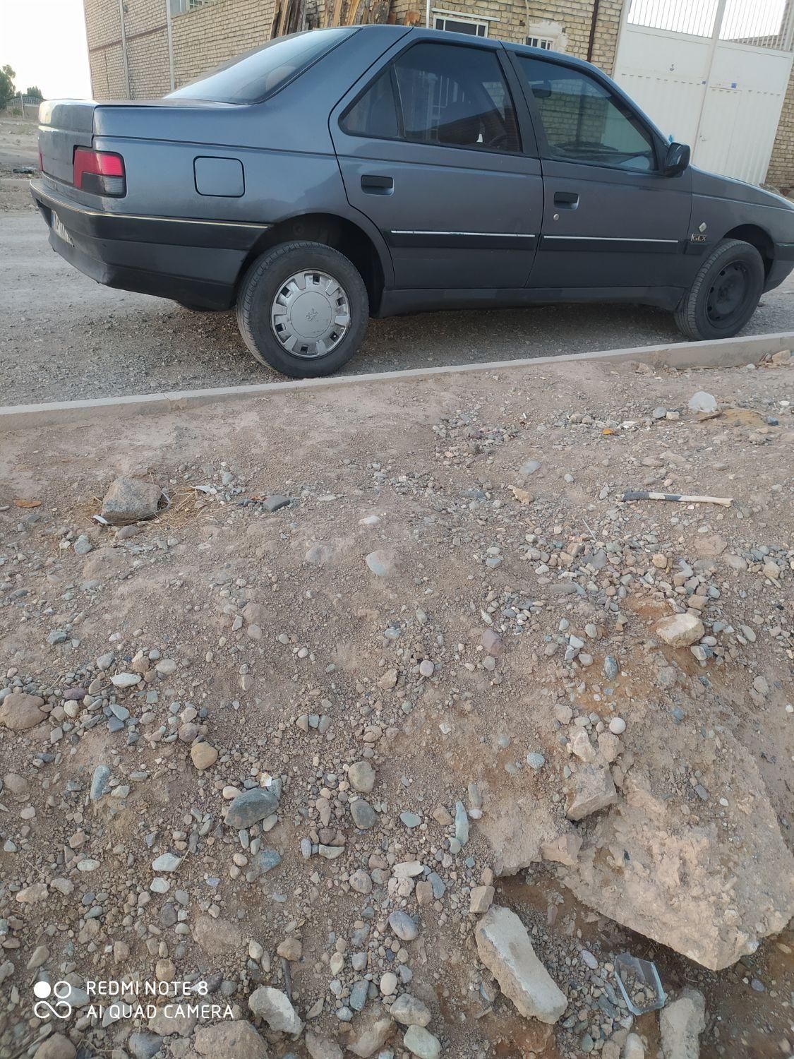 پژو 405 GLX - دوگانه سوز - 1395