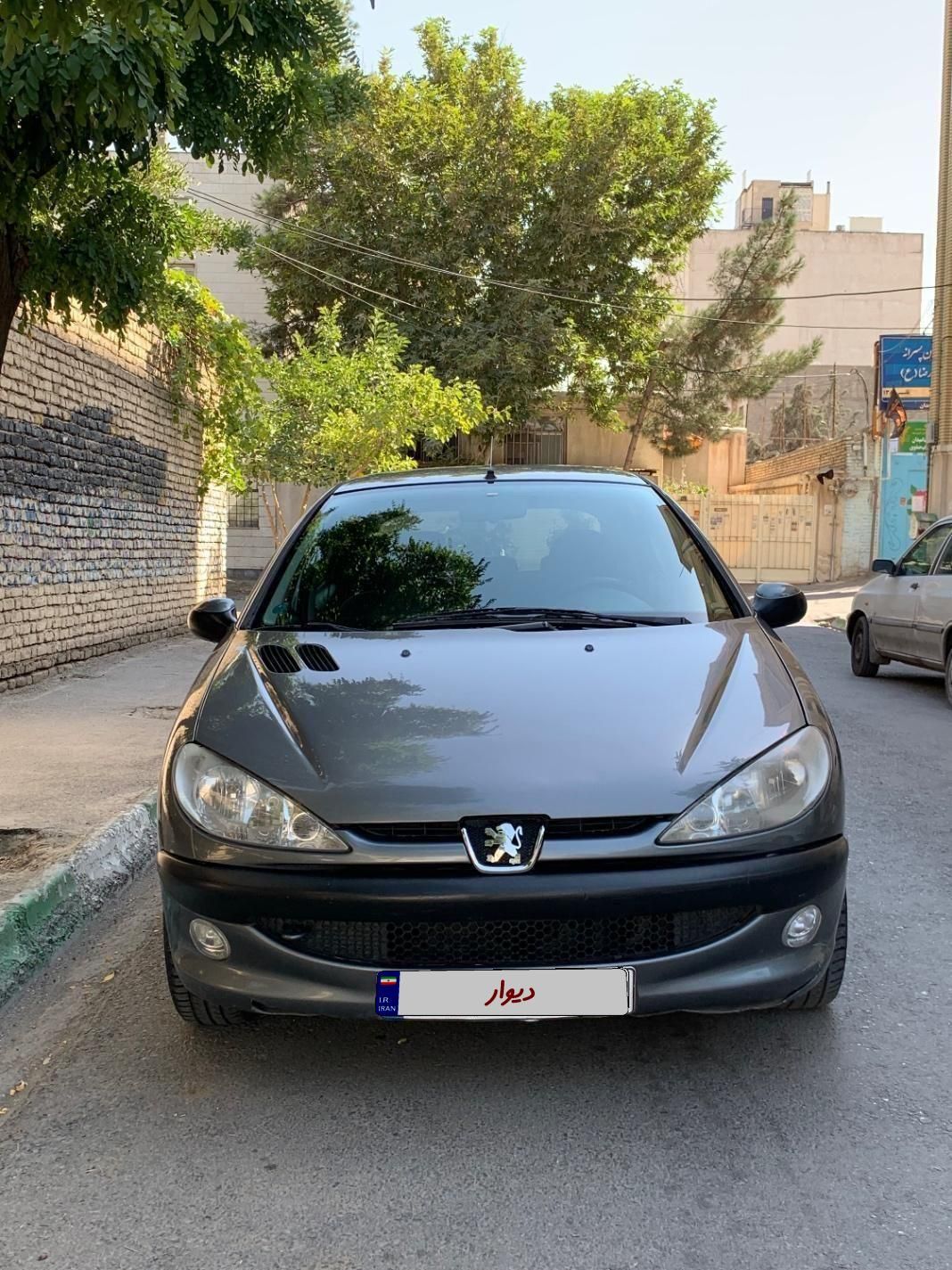 پژو 206 تیپ 5 - 1394