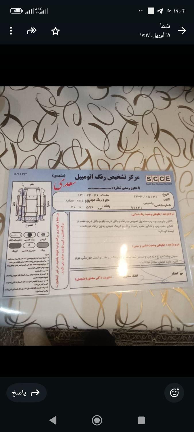 پژو 206 تیپ 5 - 1393