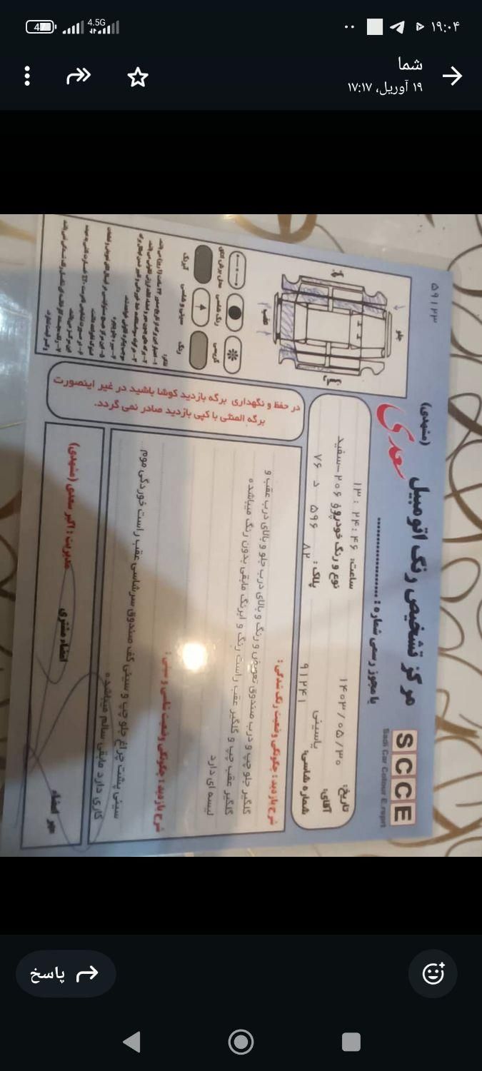 پژو 206 تیپ 5 - 1393