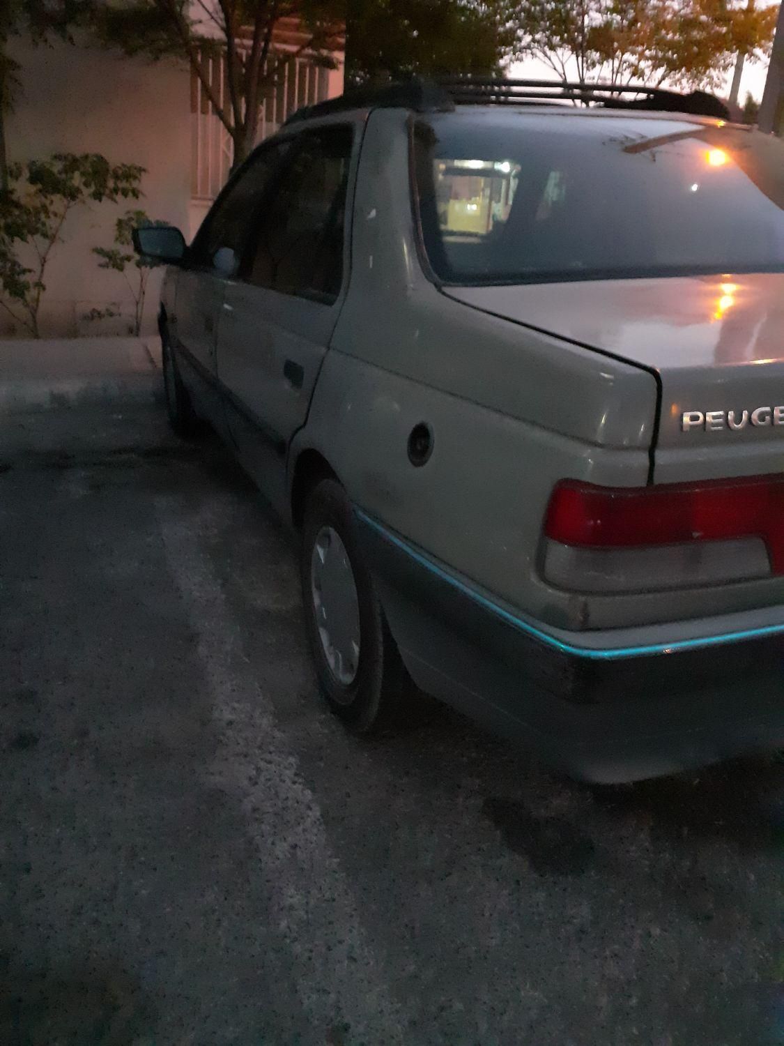 پژو آردی دوگانه سوز CNG - 1383