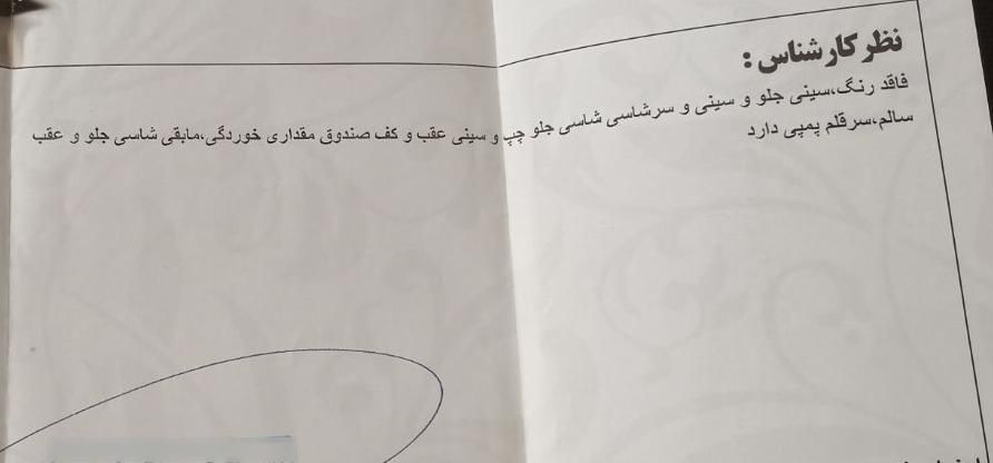 رنو تندر 90 E1 - 1388