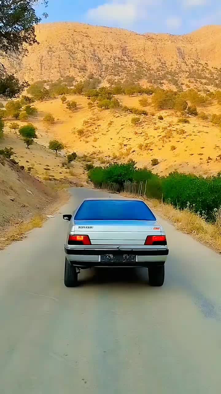 خودرو پژو، 405 آگهی ann_19777099