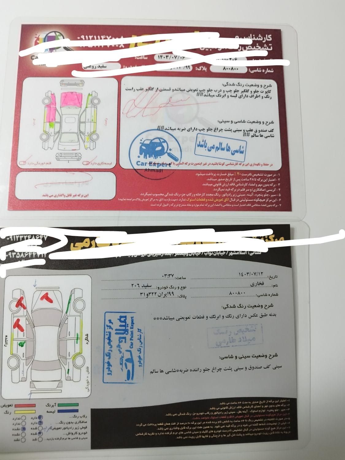 پژو 206 تیپ 2 - 1395