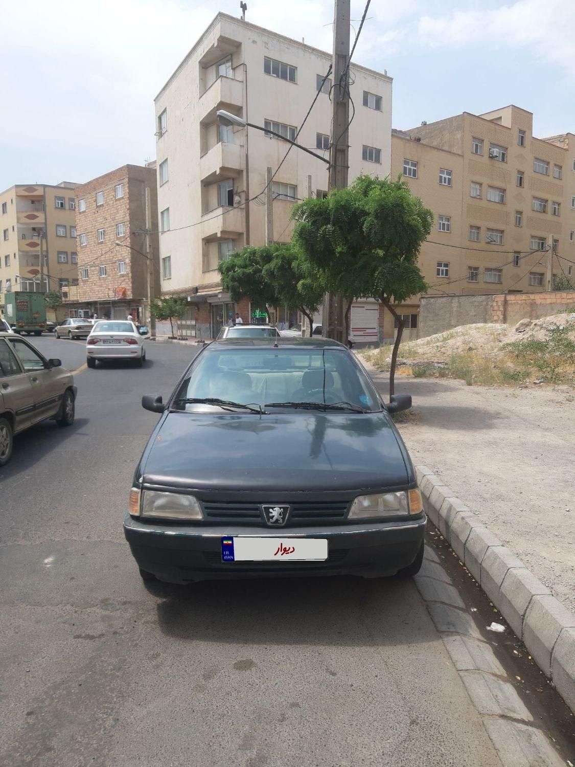 پژو آردی دوگانه سوز CNG - 1382