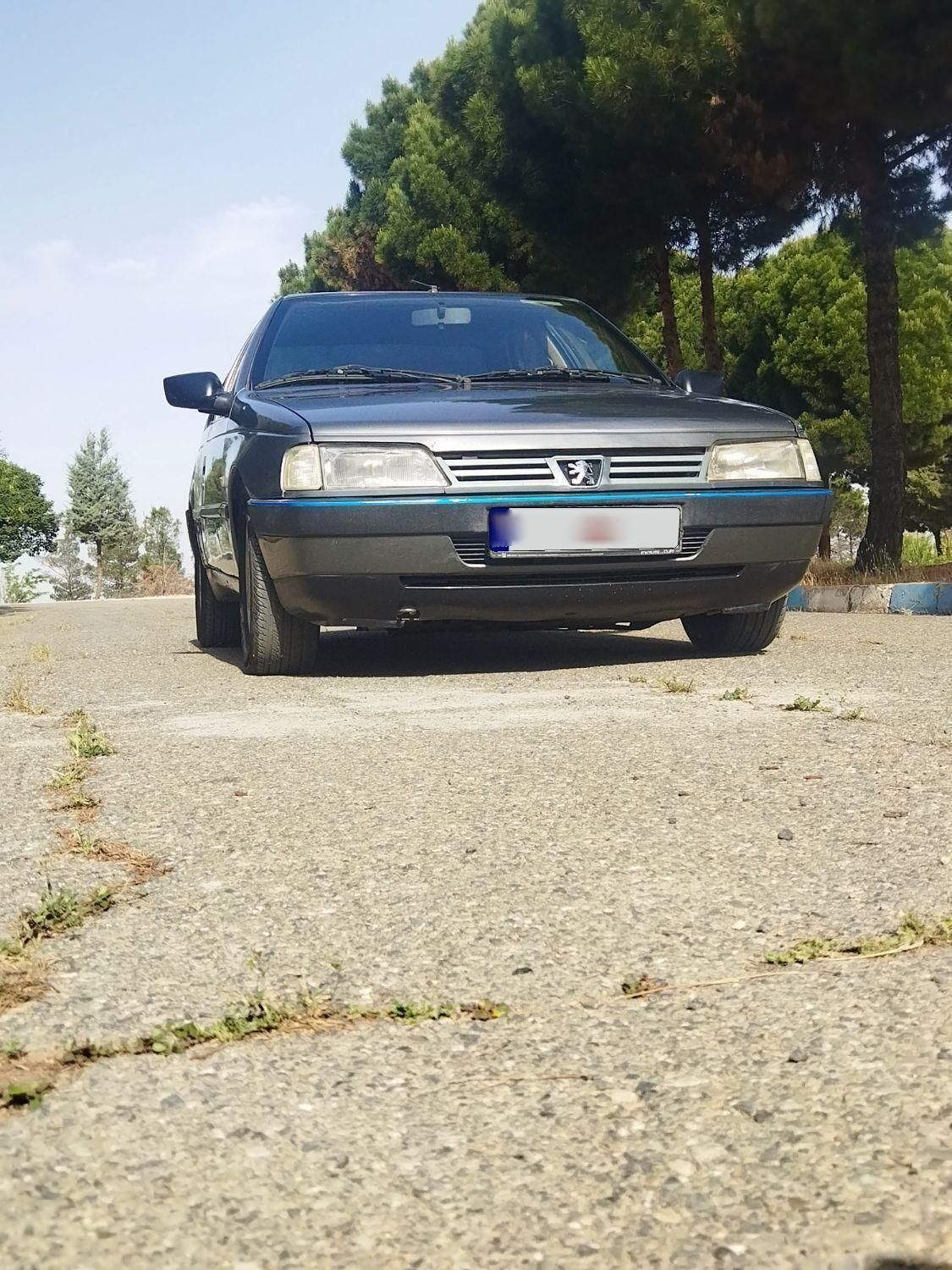 پژو 405 GLX - 1391