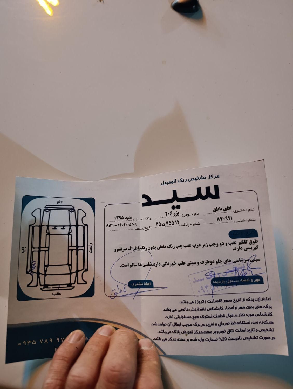 پژو 206 تیپ 5 - 1395