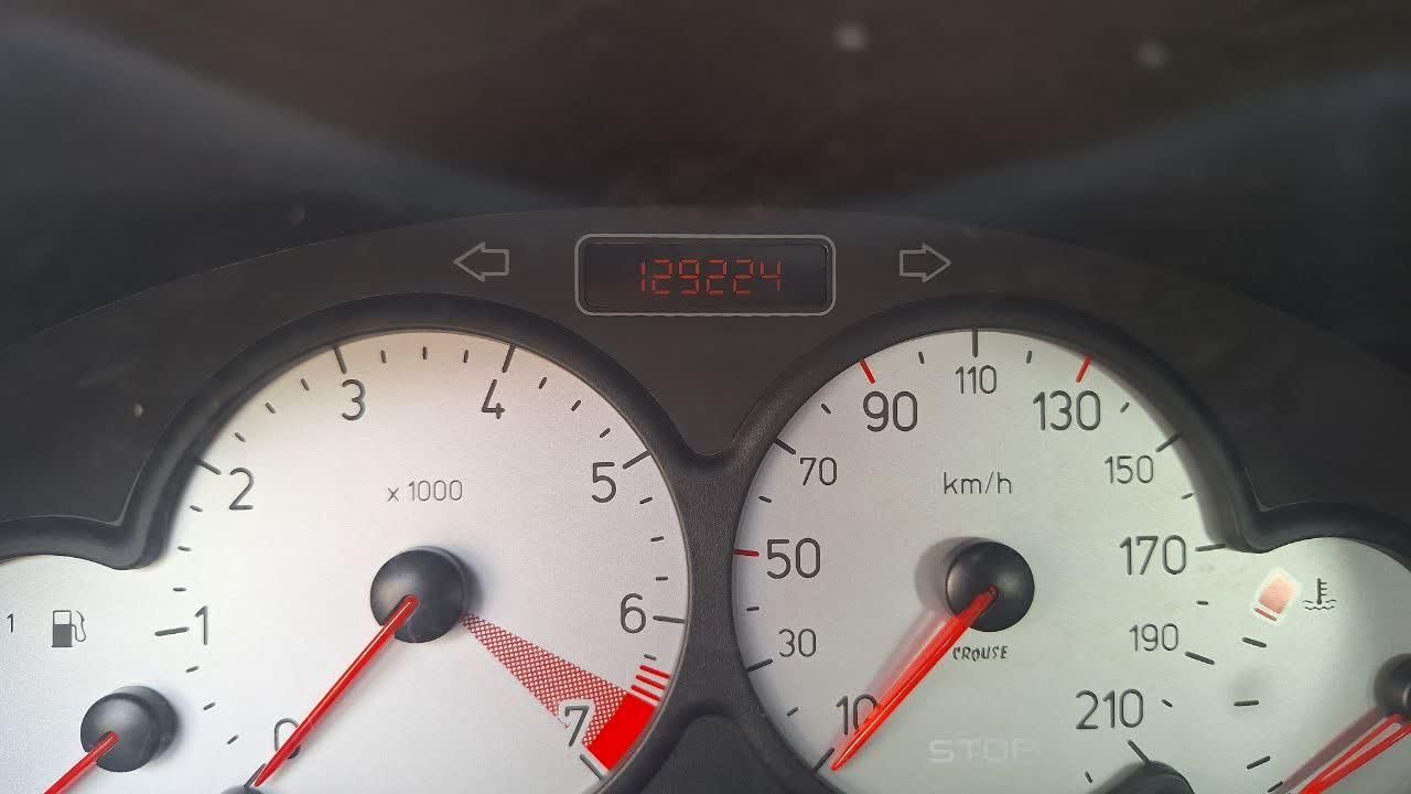 پژو ۲۰۶ صندوق دار v8 - 1395