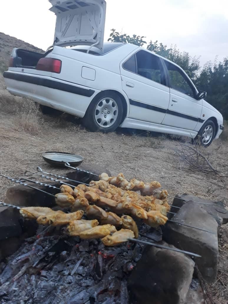 پژو پارس سال - 1391