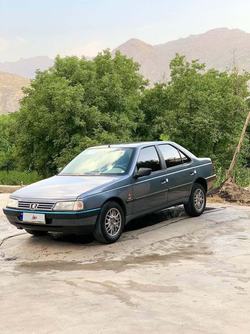پژو 405 GLX - 1396