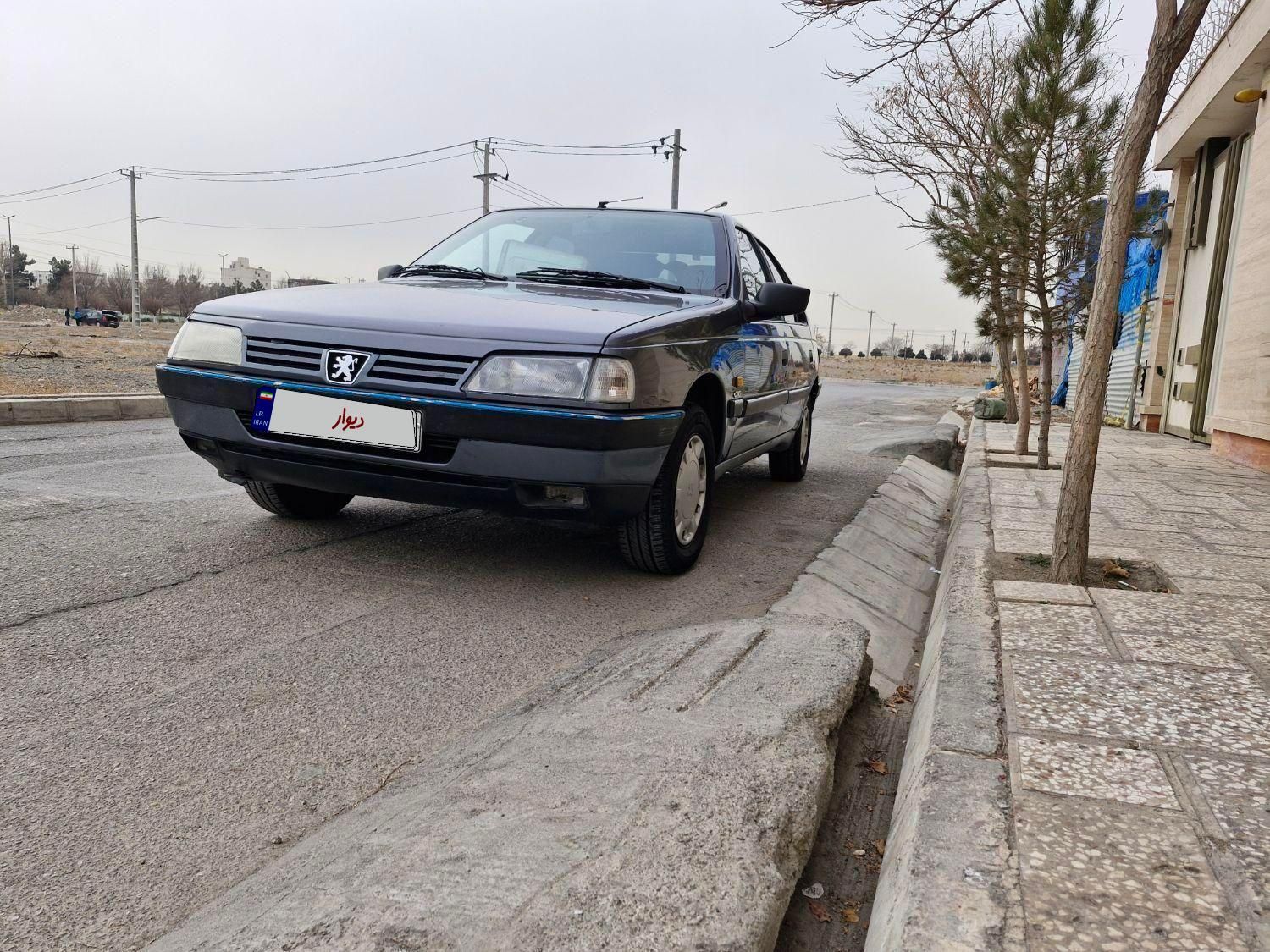 پژو 405 GLX - دوگانه سوز - 1394