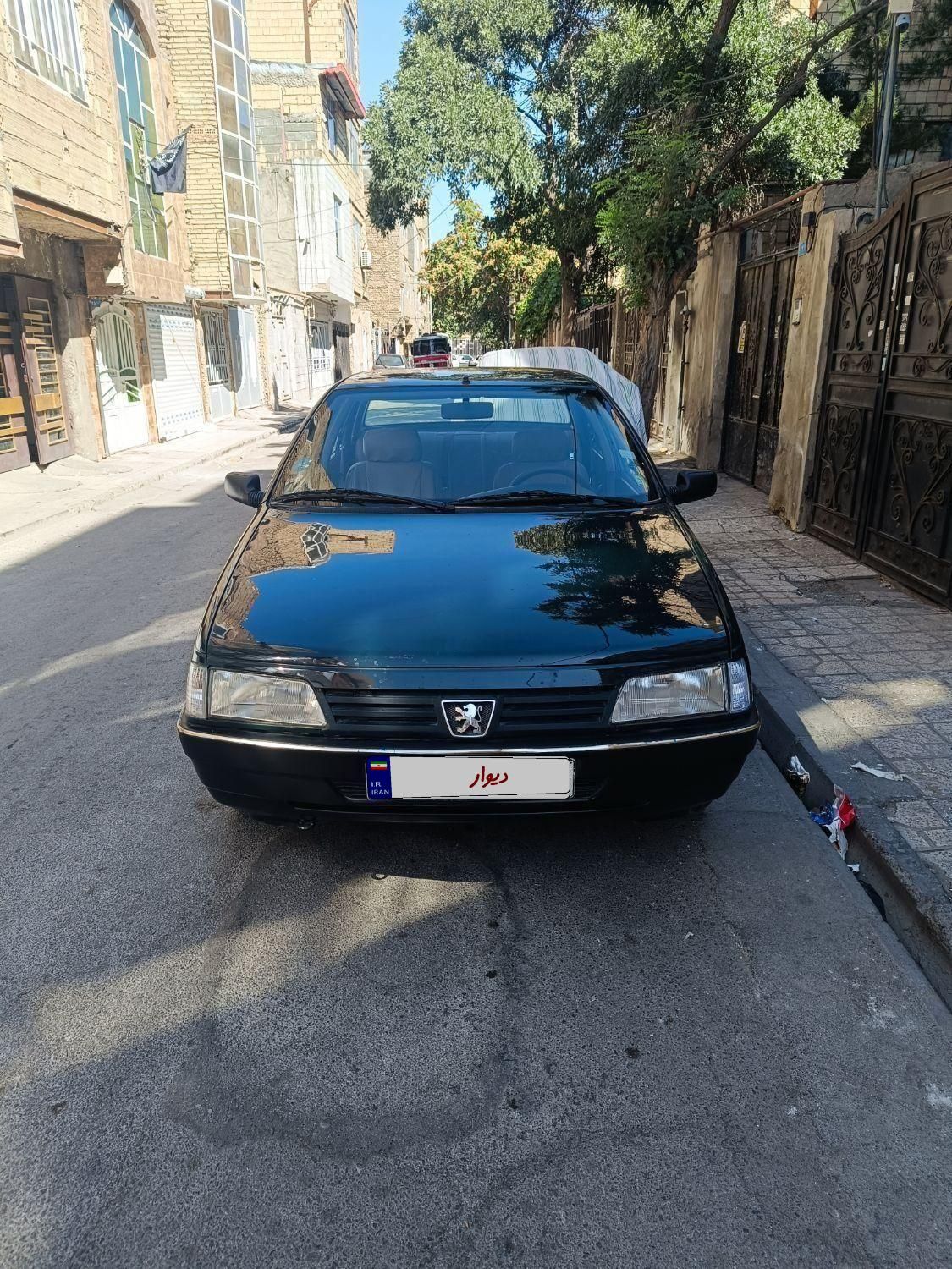 پژو آردی دوگانه سوز CNG - 1384