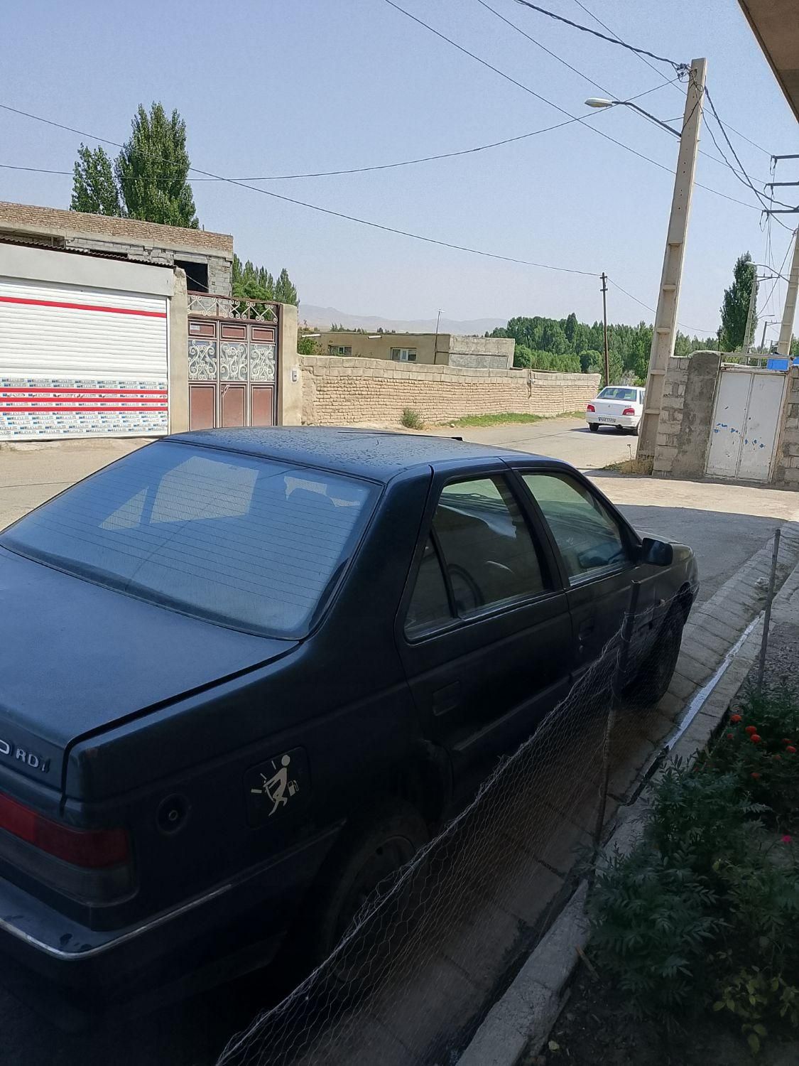 پژو آردی دوگانه سوز CNG - 1384