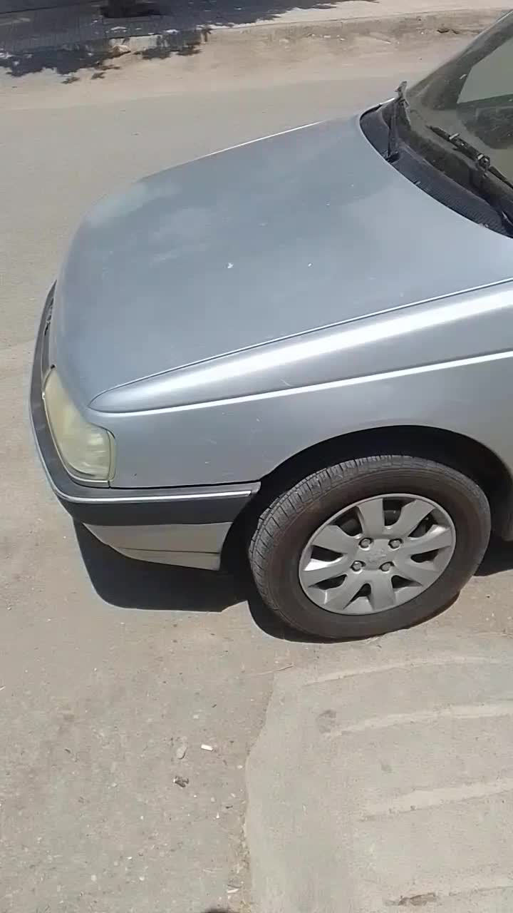 پژو 405 SLX دوگانه سوز XU7 - 1390