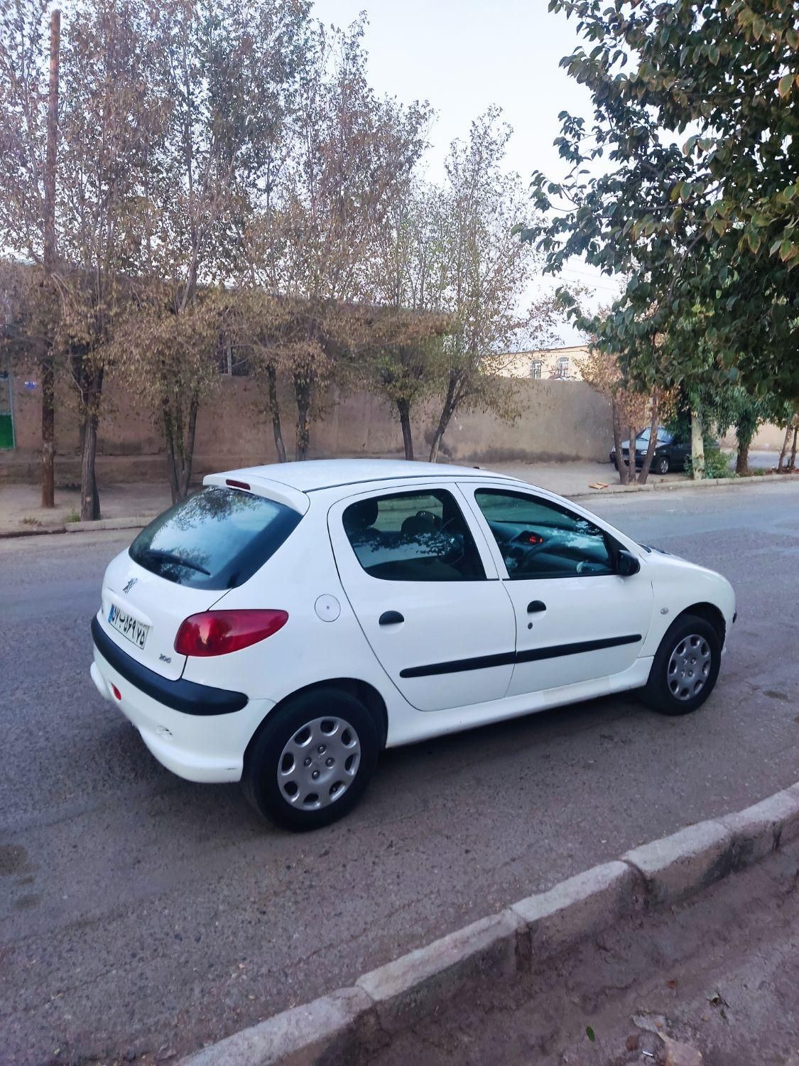 پژو 206 تیپ 2 - 1399