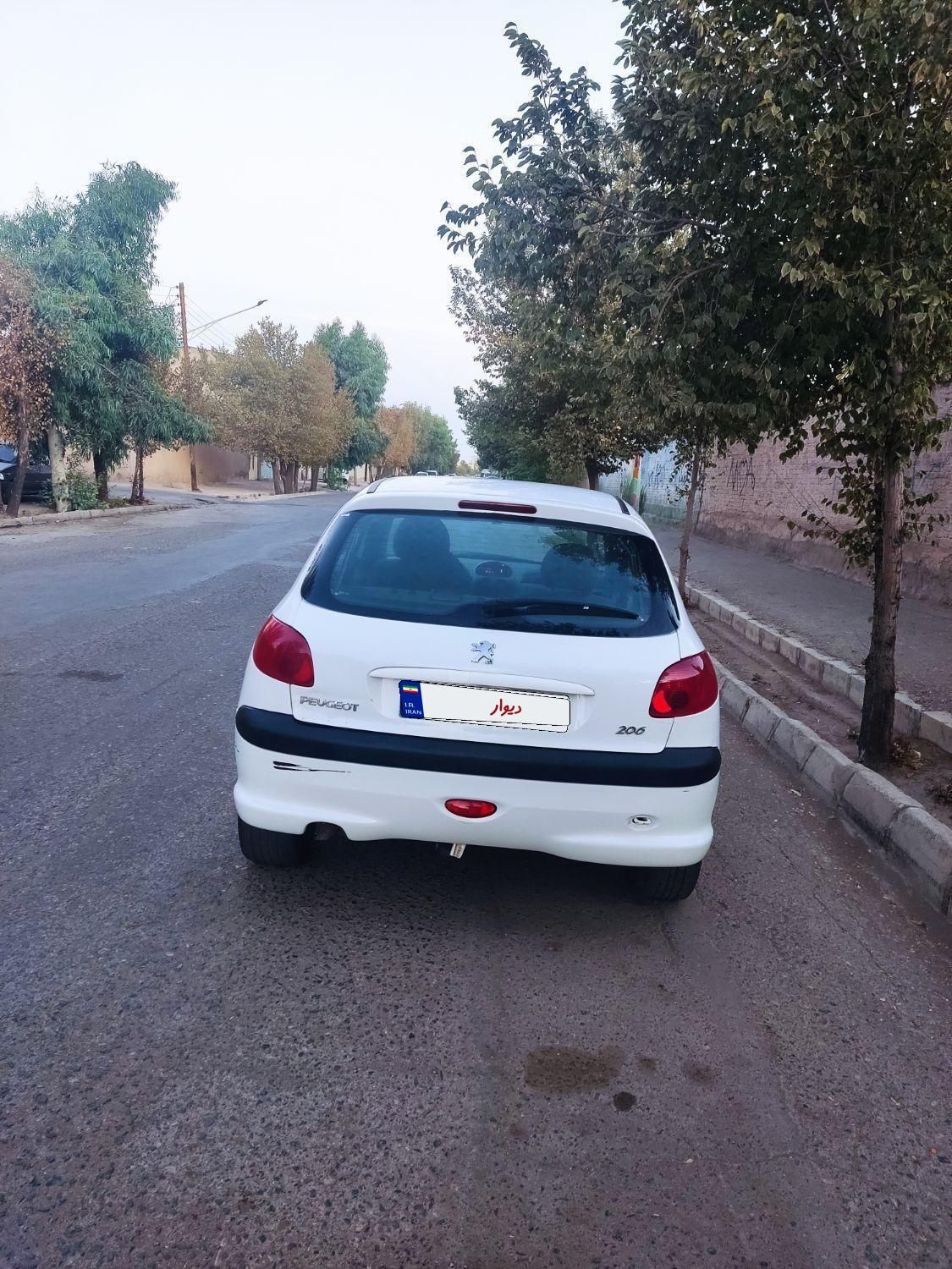 پژو 206 تیپ 2 - 1399