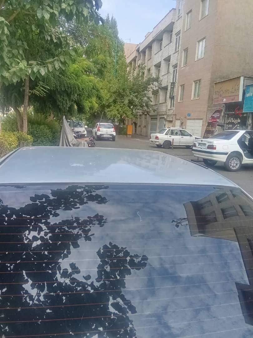 پژو روآ دوگانه سوز - 1387